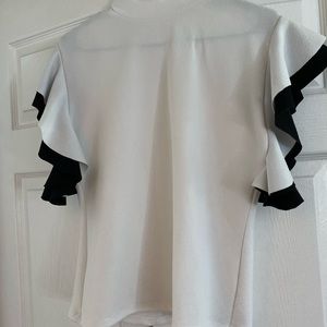 Ruffle Sleeve Dress Top